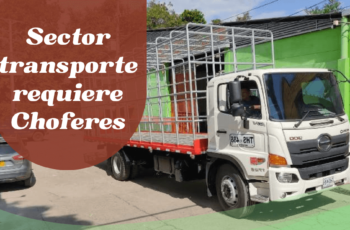 choferes conductores
