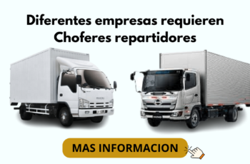 CHOFER REPARTIDOR DE PRODUCTOS